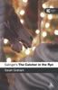 Kniha Salinger's The Catcher In the Rye
