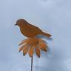 Rostige Gartendekorationsstäbe, Metallblumen Vogel Dekoration, Rostiger Metall Gänseblümchen Vogelstab, Pflanzgefäß Dekorationen für Innen Außen Hinterhof