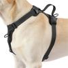 Reflective Dog Harness Vest Chest Strap For Outdoor Activity Walking Gear For Comfort And Security Running Hiking Dog Gear