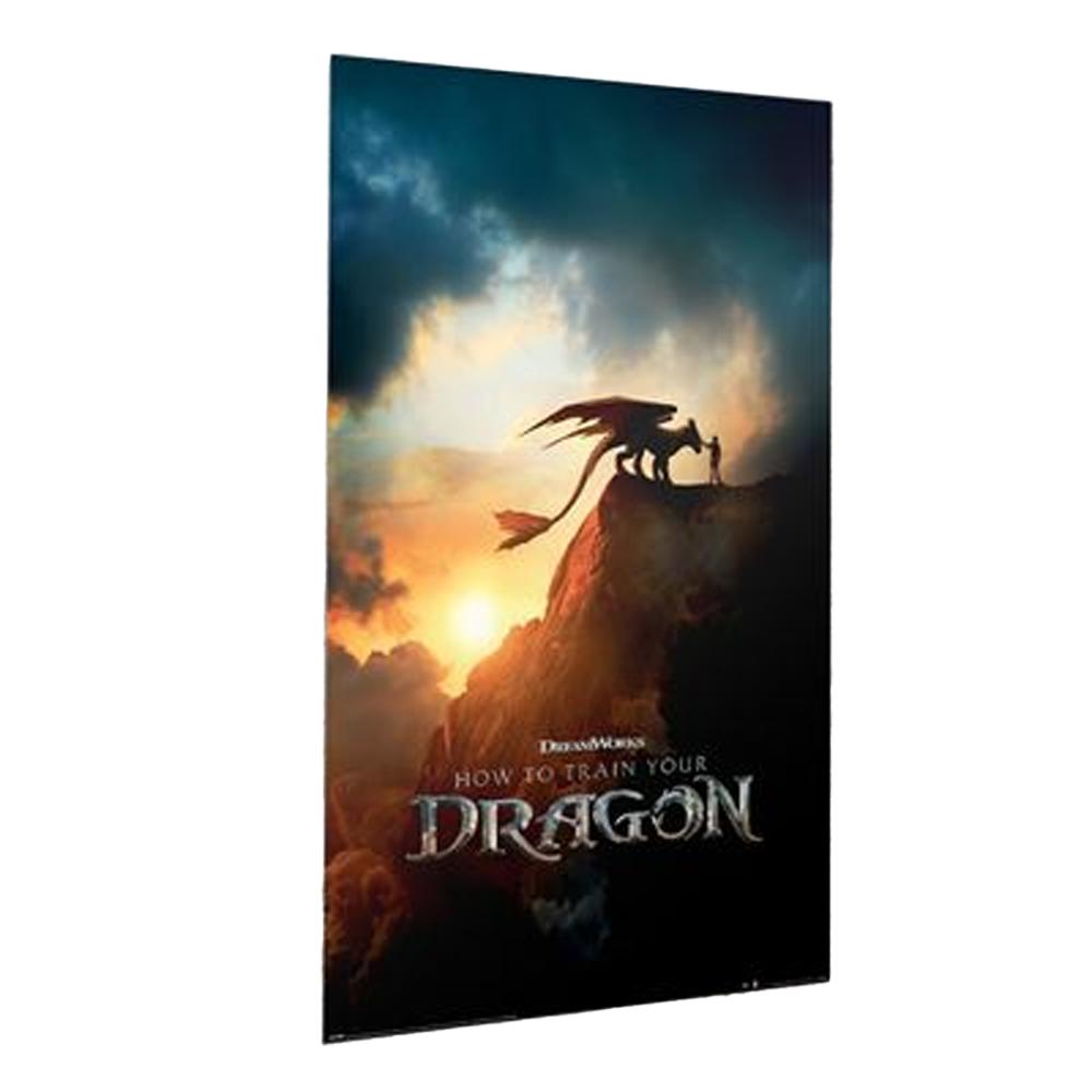How To Train Your Dragon Movie Poster Print