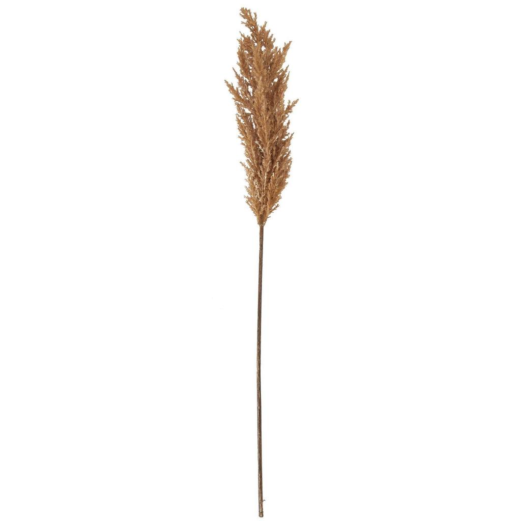 Hill Interiors Dried Pampas Grass Artificial Flower
