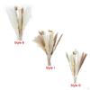 30-Piece Handpicked Dried Grass Bundle - Decor Collection