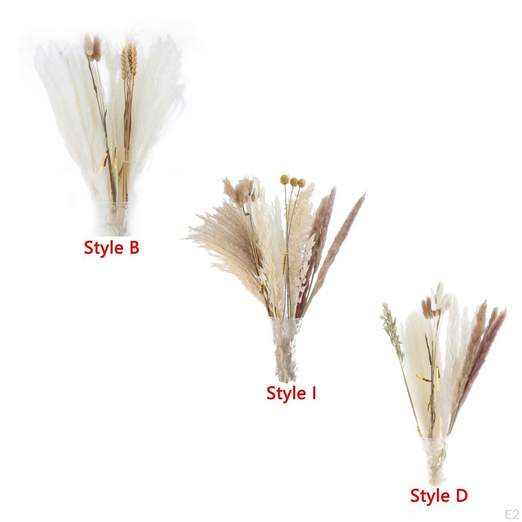 30-Piece Handpicked Dried Grass Bundle - Decor Collection