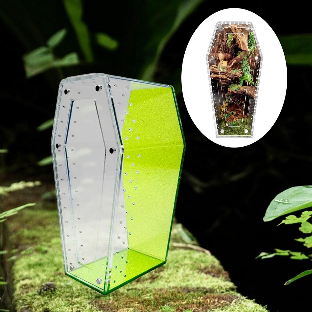 Coffin Shaped Jumping Spider Enclosure Clear Tank Acrylic Reptile Terrarium for Mantis
