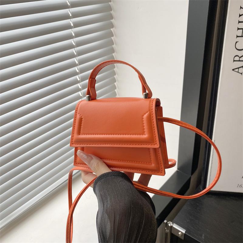 Niche Design Bag Women's Spring and Summer New Shoulder Messenger Bag Fashionable Versatile Small Square Bag