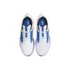Air Zoom Pegasus 38 'White Game Royal' DQ8575-100