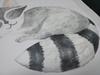 Decorative Sticker For Kids - Raccoon