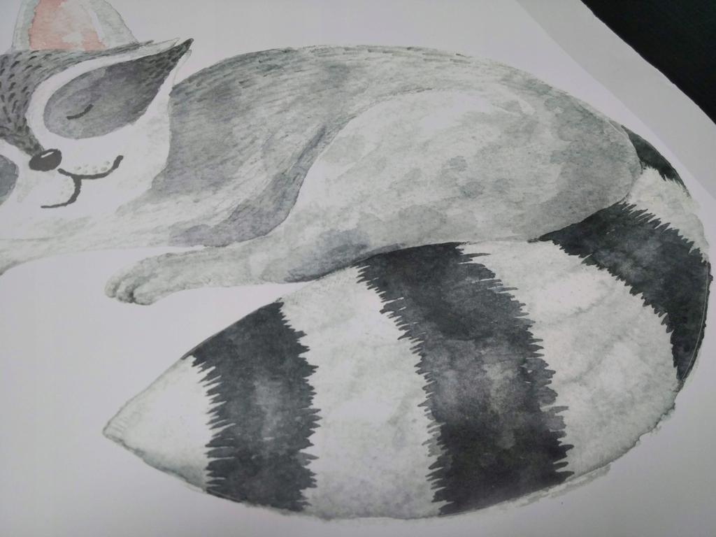 Decorative Sticker For Kids - Raccoon