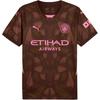 Manchester City Letter Print Casual Sports Crew Neck Short Sleeve Football Shirt Men Tops Red-Brown 775107-41