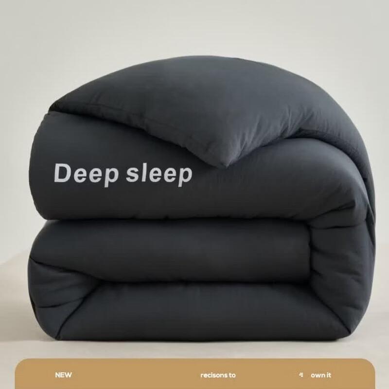 LISM Deep Sleep Warm Winter Quilt