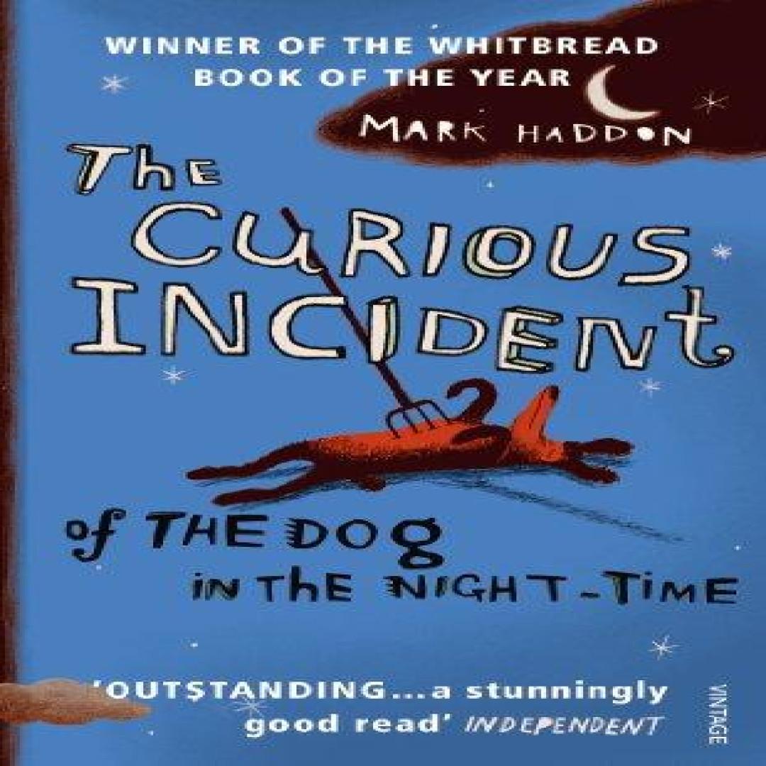 Supergute Tage: Der neugierige Hund und die Nacht von Mark Haddon Taschenbuch 9780099450252