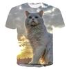 2023 European and American New Cat Couple 3D Printed Short-sleeved T-shirt Casual Short-sleeved Trendy Cute Cat 3DT-shirt