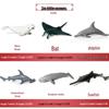 Children's Marine Animal Toy Set: Megalodon, Beluga, Octopus, Turtle, Dolphin & Manta Ray