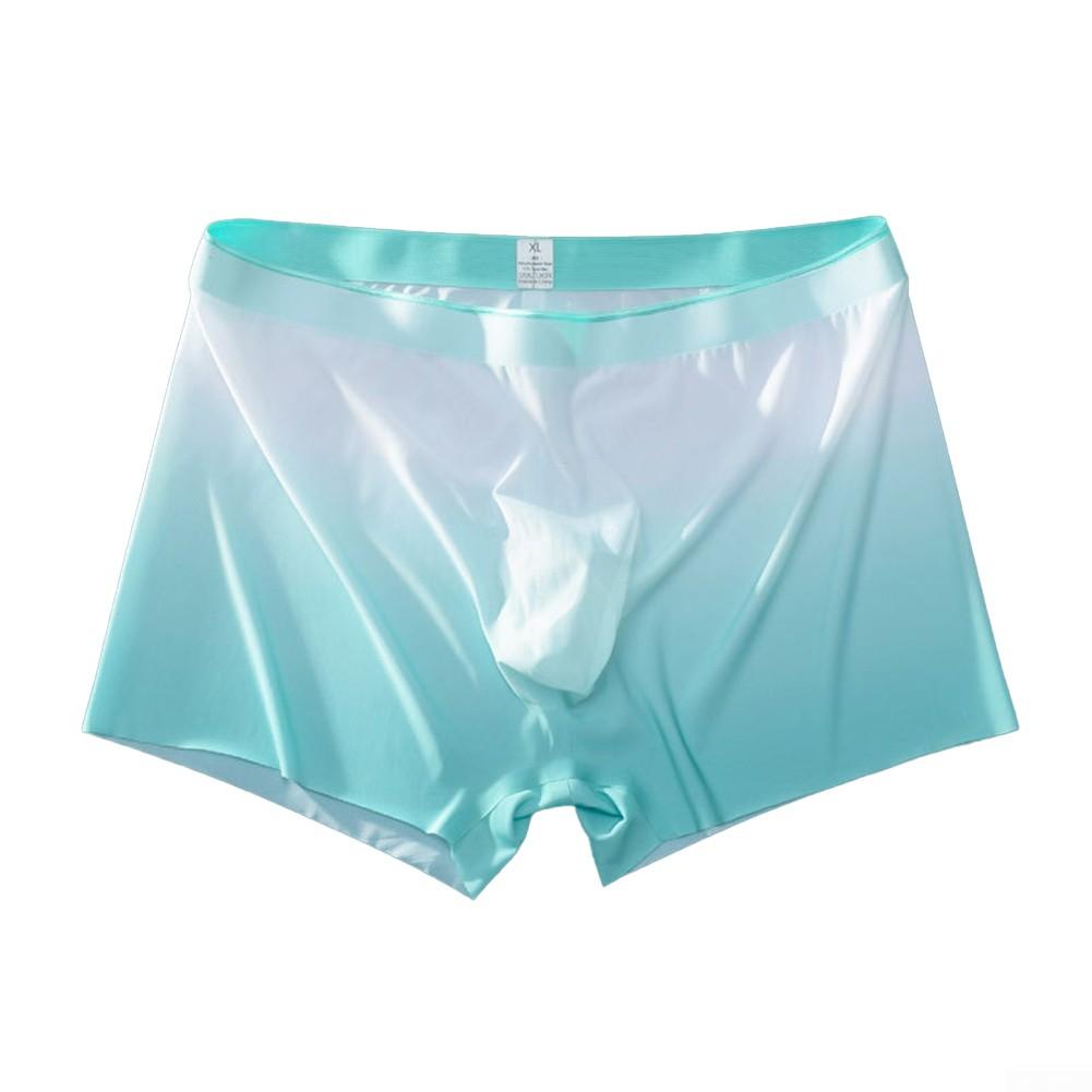 Lightweight Underwear Sexy Sheer Soft Boxer Briefs