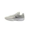 Nike Air Zoom GT Cut Academy EP Light Bone Iron Grey Unisex Sneakers Light-Bone-White Sail-White White FB2598-014