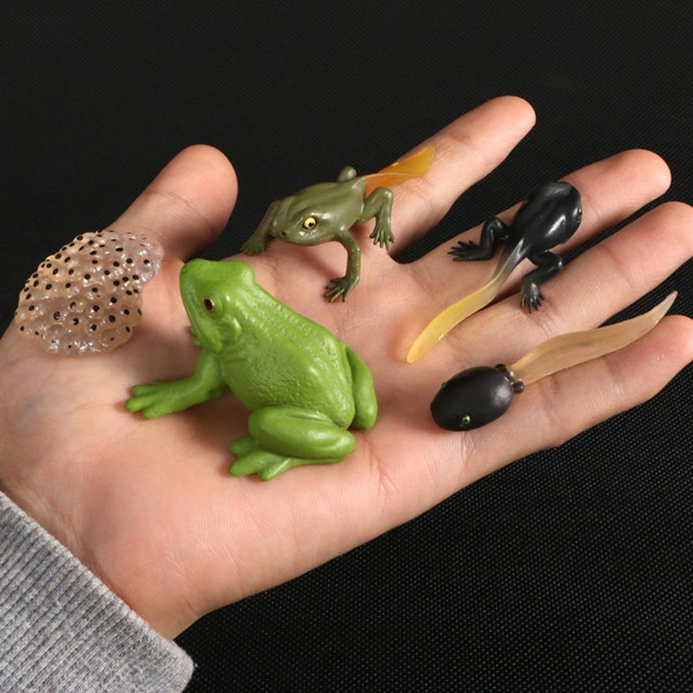 Butterfly Growth Cycle Action Figures Growth Cycle Model Life Cycle Figurine Simulation Animals