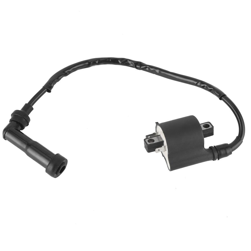 Ignition Coil 1D6?82310?00?00 Repalcement Fit for Yamaha Royal Star 1300Venture 1300Boulevard 1300