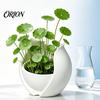 Minimalist White Planter Tulip Flower Shape Planter, 3D Printed Decorative Pot, Stable Desktop Pot Modern Plant Container for Home Office Desk