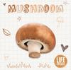 The Mushroom Book