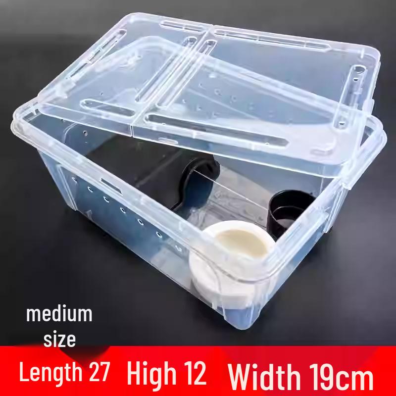 Reptile Habitat Tank for Silkworms, Spiders, Frogs, Snakes, Lizards, Snails, Insects, and Turtles