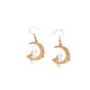 Cute Moon Cat Personality Girlish Temperament Flower Crescent Earrings