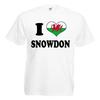 I Love Heart Snowdon Adults Mens T Shirt