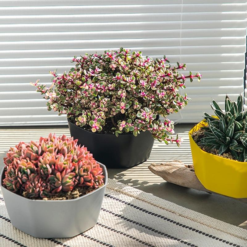 Thickened 6 Cell Round Nursery Pot Trays with 6Inch Pots Plant Shuttle Tray For Indoor And Outdoor Gardening Use