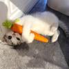1pc Paper Rope Carrot Cat Toys Sound Cat Fun Interactive Kitten Plaything Teething Toy Anti-bite Cat Scratch Board Pet Supplies