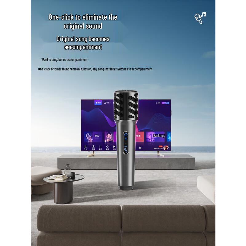 Newmine K519 Portable Bluetooth Karaoke Speaker System