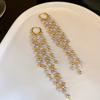 1Pair of Long Women's Fashion Pendant Earrings, French Temperament Elegant Style Imitation Pearl Fringed Pendant