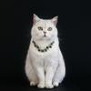 Katzen Hochzeits Halsband mit Kristallen besetzt Haustier Perlen Halsbänder Hochzeits Foto Requisiten