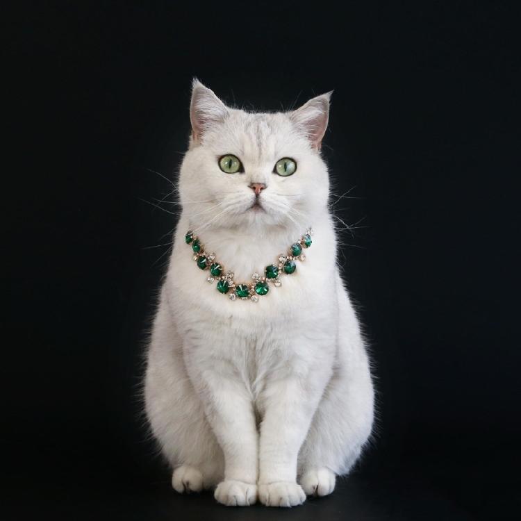 Katzen Hochzeits Halsband mit Kristallen besetzt Haustier Perlen Halsbänder Hochzeits Foto Requisiten