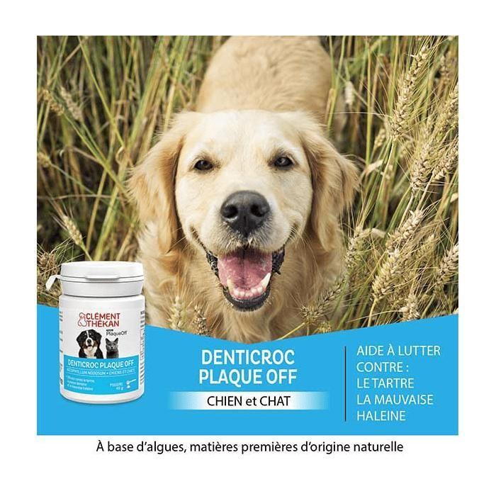CLEMENT THEKAN Denticroc poudre 40 g