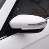 Ford Escort 21-22 Rearview Mirror Cover with Turn Signal