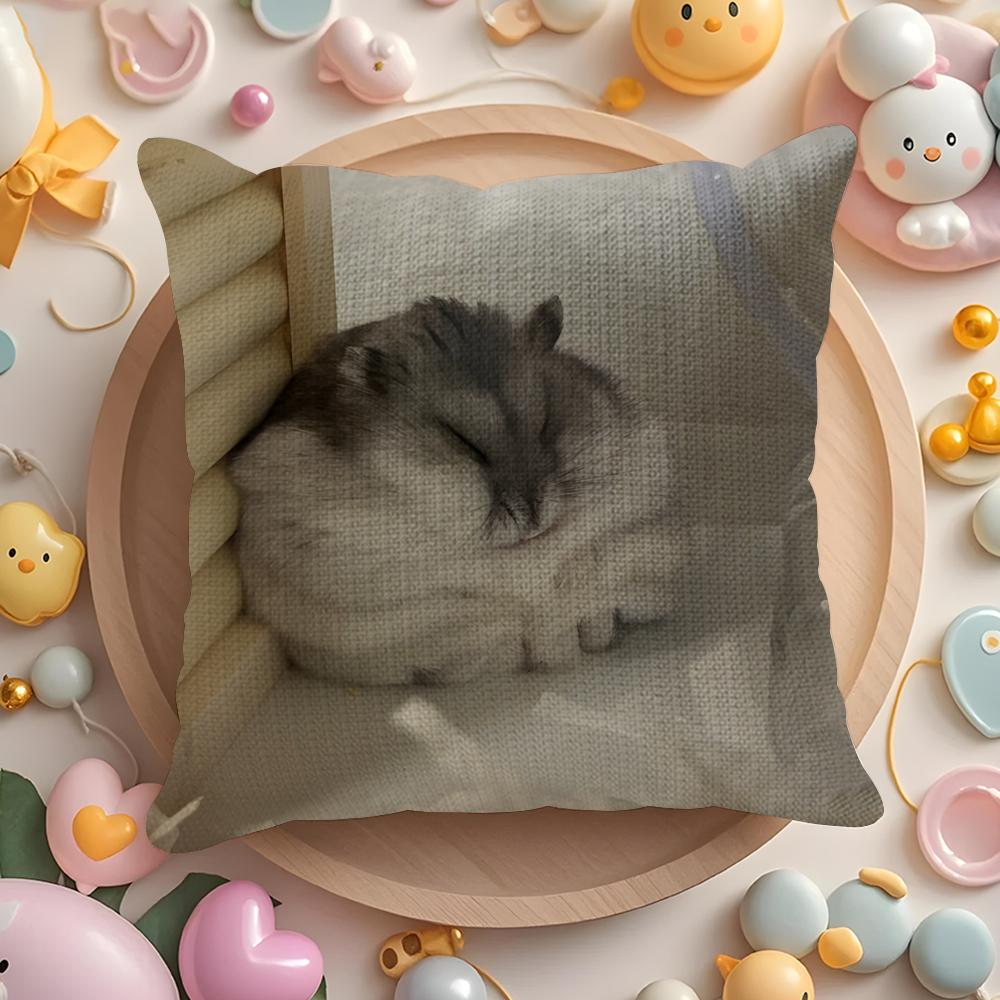 Funny Hamster Meme Cute Fun Party Pillow Case Sofa Living Room Bedroom Headboard Backrest Cushion Square Cushion