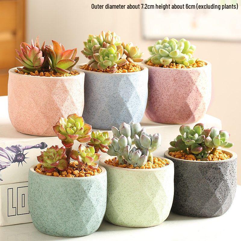 Breathable Ceramic Indoor Succulent Planter Set - Creative Small Flower Pots