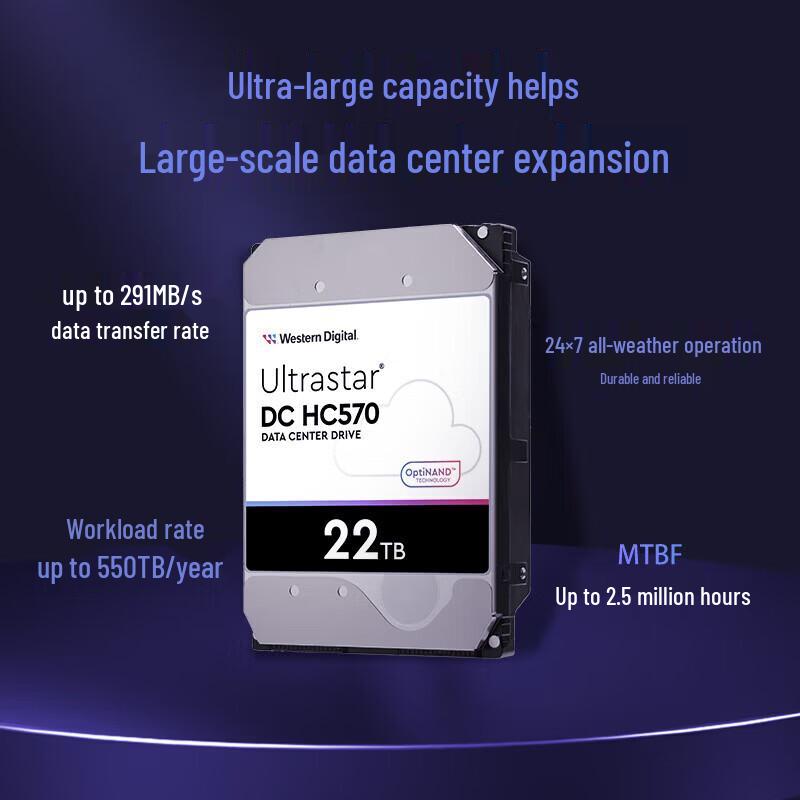 Western Digital WD HC570 22TB Enterprise SAS Hard Drive