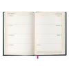 Wicked 2026 City A5 Diary