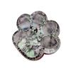 Clear Cat Paw Squeeze Toy Anxiety Stress Relief Glitter Kitten Paw Pinch Sensory Toy