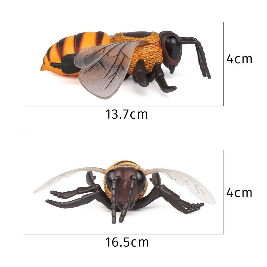 Children's Large Wild Insects Cognitive Simulation Toy - Bee, Wasp, Hornet Model Decoration