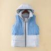 Vest for Women Winter Cotton Sleeveless Tops Padded Large Size Vest Oversize Thickened Down Casual Zipper Vest