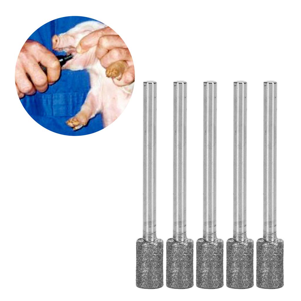 5PCS Cylinder Diamond Grinding Head Bit Parts for Piglet Electric Tooth Grinding Polisher
