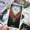 63Pcs English Tarot Deck for The Wild Unknown Animal Spirit Guidebook Tarot Cards Board Game Playing