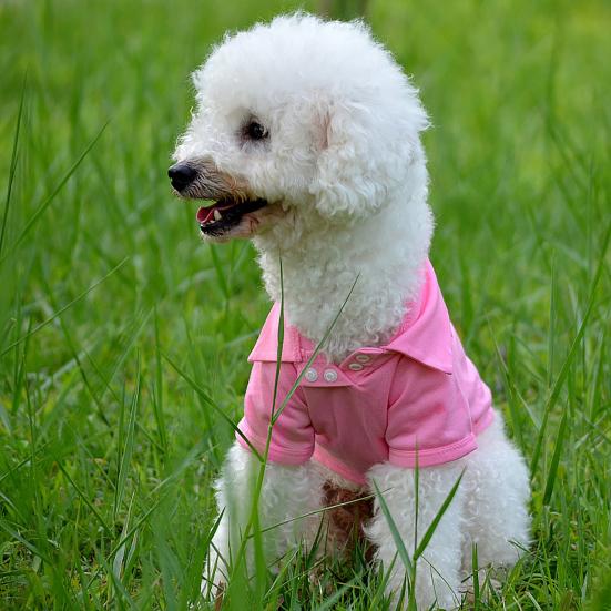 Pet Shirt Lapel Design Sweat-absorbent Solid Color Dog Two-legged T-shirt for Summer