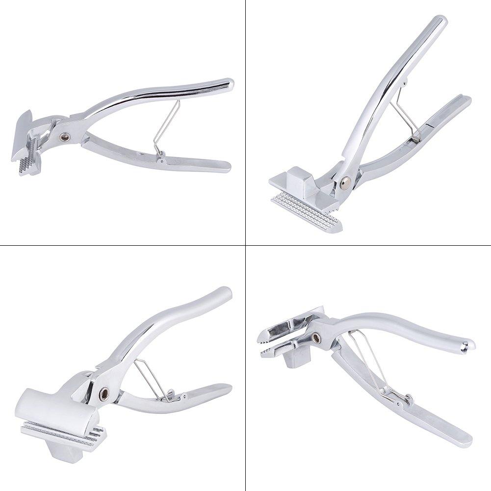 Professional Canvas Stretching Pliers for Oil Paintings, Alloy Clamp Canvas Framing Tool, Lokirif Canvas Stretching Pliers