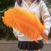 Wholesale Golden Ostrich Feathers Big 15-60CM Ostrich Plume for Wedding Party Home Decor Table Centerpieces Carnival DIY Crafts