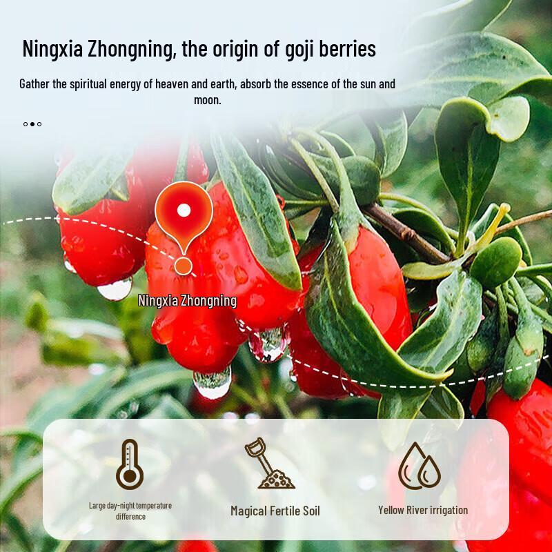 Tong Ren Tang Premium Ningxia Goji Berries