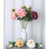 Single Stem Artificial Peony Odorless 2 Head Artificial Peony Artificial Peony Bouquet Burnt Edge For Restaurant Styling Wedding
