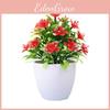 Plastic Causonis Japonica Plant For Indoor Decoration Perfect For Living Room And Office