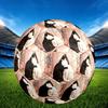 1pc Cats Harmony Theme Soccer Ball Football, Size 5, Lightweight PVC, Durable Outdoor Training Soccer Ball, Gift M61484